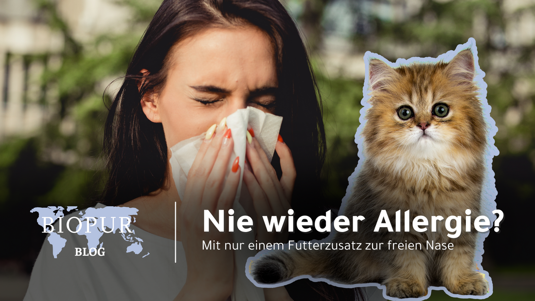 Eierschalenpulver & Tierhaarallergie - Eine natürliche Hilfe für Allergiker?